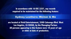 Captura de 'Sydney Leathers - Weiner and Me' nº 1