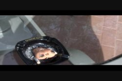 'Assians Have More Anal Fun' screenshot nº 4