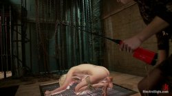 Captura de 'Porcelain Doll Feels An Electro-DP' nº 47
