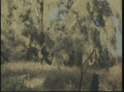 'Surrender in Paradise' screenshot nº 113