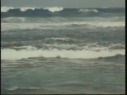 'Surrender in Paradise' screenshot nº 24