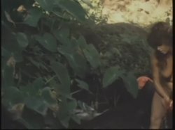 'Surrender in Paradise' screenshot nº 29