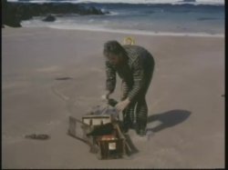 'Surrender in Paradise' screenshot nº 3