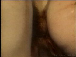 'Awesome Asssets' screenshot nº 112