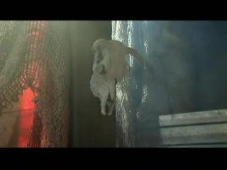 Surrender The Booty - Scene2 - 1