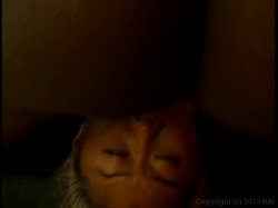 'Bitch Blow Me' screenshot nº 76