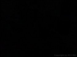 'Hustler XXX Video #27' screenshot nº 102