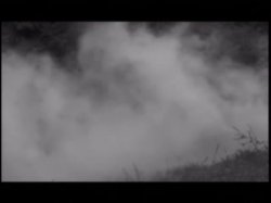 'Amazonesex' screenshot nº 5
