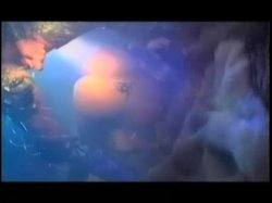 'Amazonesex' screenshot nº 89