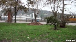 'Public Pickups 19' screenshot nº 99
