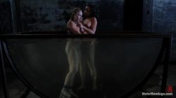 'Water Bondage - Featuring Phoenix Marie, Chanel Preston, Lea Lexis and Bobbi Starr 3' screenshot nº 102