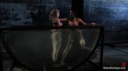 'Water Bondage - Featuring Phoenix Marie, Chanel Preston, Lea Lexis and Bobbi Starr 3' screenshot nº 118