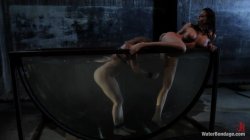 'Water Bondage - Featuring Phoenix Marie, Chanel Preston, Lea Lexis and Bobbi Starr 3' screenshot nº 119
