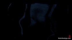 'Water Bondage - Featuring Phoenix Marie, Chanel Preston, Lea Lexis and Bobbi Starr 3' screenshot nº 13