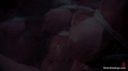 'Water Bondage - Featuring Phoenix Marie, Chanel Preston, Lea Lexis and Bobbi Starr 3' screenshot nº 15