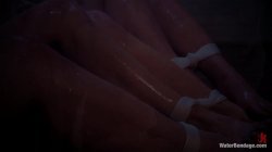 'Water Bondage - Featuring Phoenix Marie, Chanel Preston, Lea Lexis and Bobbi Starr 3' screenshot nº 16