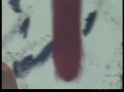 'Triple Play Debutante' screenshot nº 24