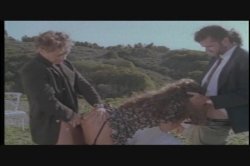 'Rocco Rocks' screenshot nº 22