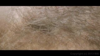 ATK Natural &amp; Hairy 41: Buxom Brunettes - Cena2 - 6