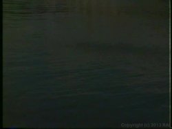 'Plumper Therapy' screenshot nº 10