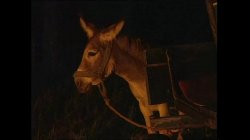 Captura de 'Romanza Anale' nº 9
