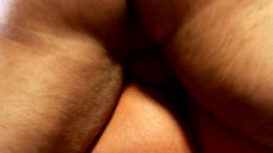 Captura de 'Pornstars Love Transsexuals 4' nº 95