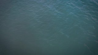 M.I.L.F.S - Escena5 - 6