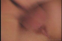 'Star Attraction' screenshot nº 58