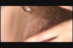 'Butt Sluts 5' screenshot nº 86