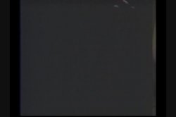 Captura de 'Chocolate Bunnies 5' nº 83