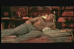 Captura de '5 Star Savanna' nº 30