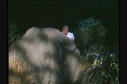 Captura de 'Nasty As I Wanna Be - Dayton' nº 139