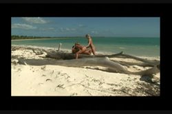 Captura de 'Best Of Beach Blondes: Anal Sex In The Sand' nº 49