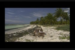 Captura de 'Best Of Beach Blondes: Anal Sex In The Sand' nº 19