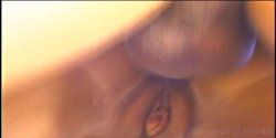 'Vivid Girls Do Anal... Finally' screenshot nº 131