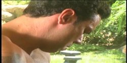 'Vivid Girls Do Anal... Finally' screenshot nº 22
