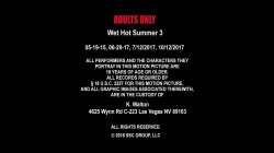 'Wet Hot Summer Vol. 3' screenshot nº 1