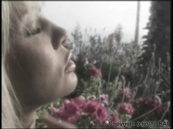 '100% Interracial #3' screenshot nº 51