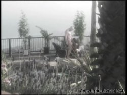 '100% Interracial #3' screenshot nº 59