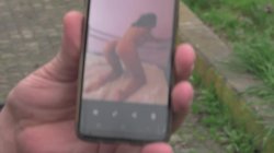 'Una come lei ne vale 6' screenshot nº 4