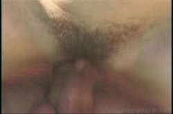 'Aged to Perfection 35' screenshot nº 137