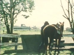 'All the Way' screenshot nº 60