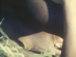 'All the Way' screenshot nº 76