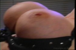 'Jiggly Queens' screenshot nº 73