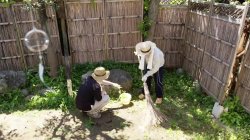 Captura de 'Seeding Sex With The Next-Door Neighbor's Wife' nº 80