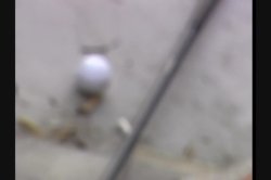 'Wild Teens' screenshot nº 90