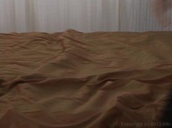 'Lesbian Amateurs 4' screenshot nº 2