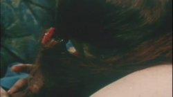 'April Love' screenshot nº 50