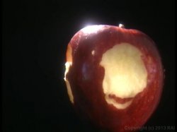 Captura de 'Bite the Big Apple' nº 3