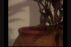Captura de 'Ass Angels 1' nº 3